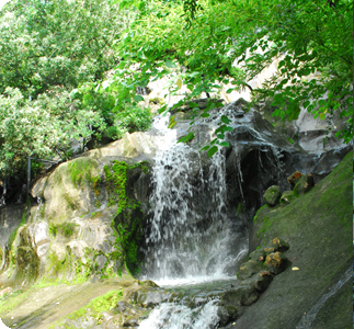 南诏风情岛